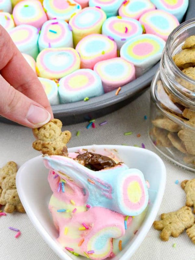 UNICORN SMORES DIP RECIPE Story