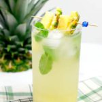 cropped-alcohol-drinks-pineapple-coconut-mojito-1.jpg