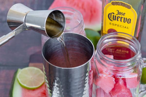 Alcohol Drinks Watermelon Margarita Punch