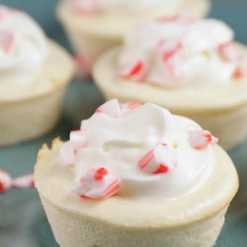 Candy Cane Cheesecake – EASY Peppermint Cheesecake Recipes – Simple and Quick Holiday Desserts – Snacks – Treats – Party Food