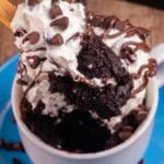 Brownie Mug Cake! BEST Brownie Ala Mode Cake In A Mug Recipe – Quick & Easy 2 Minute Microwave Cake Idea – Snacks – Desserts – Treats
