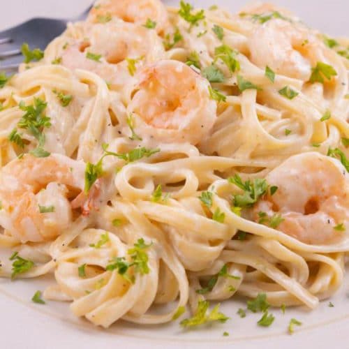 Easy Fettucine Alfredo Shrimp Pasta – Best Homemade Creamy Shrimp Alfredo Pasta Recipe – Dinner – Lunch – Quick – Simple