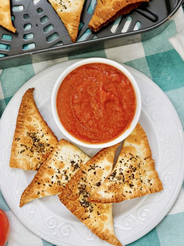 AIR FRYER PIZZA WONTONS RECIPE STORY